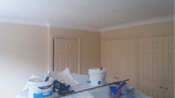 Painting, wallpaper and decorator images