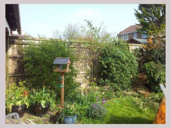 Painter and decorator job images